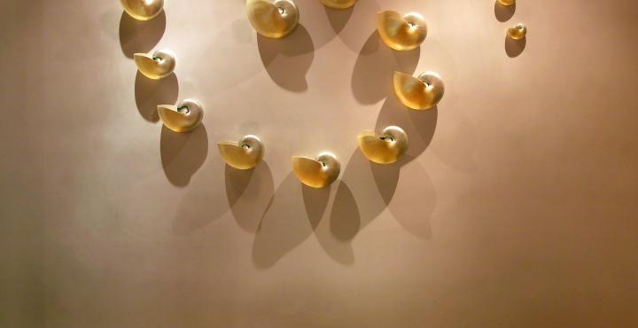 The Park Chennai Hotel Bagian luar foto Detail of the Golden Snail